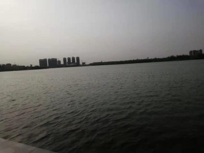 平原新区,入住可以吗,你怎么看